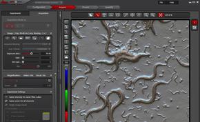 Chụp ảnh trường sáng trong LAS AF