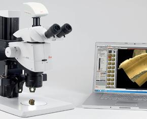 Sử dụng máy tính xách tay