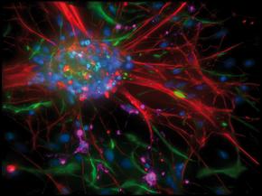 Hình ảnh sắc nét