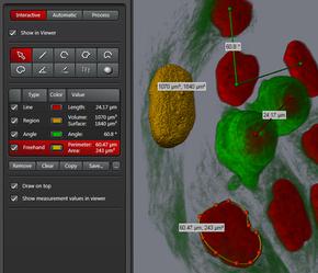 Các phép đo 3D tương tác