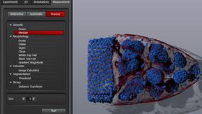 Hộp công cụ xử lý