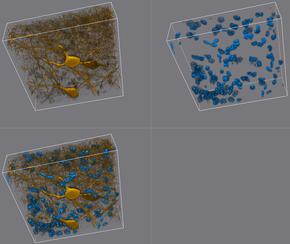 Dựng 3D thời gian thực