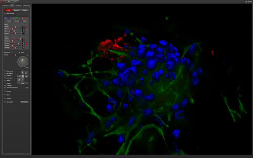 Dựng ảnh 3-D thời gian thực bằng GPU với Leica LAS X 3D Visualization