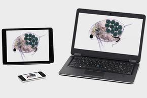 Máy ảnh kết nối nhiều sinh viên cùng lúc