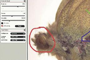 PC hay MAC – không vấn đề gì