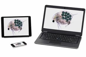 Máy ảnh kết nối nhiều sinh viên cùng lúc