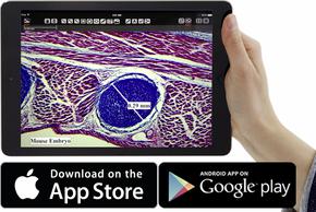 Leica AirLab App để dễ dàng học tập và chia sẻ