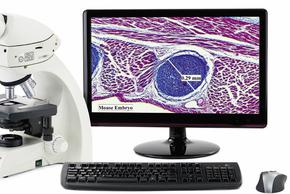 PC hay MAC – không vấn đề gì