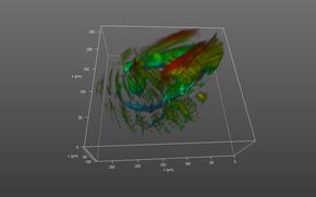 Giả lập 3D thời gian thực