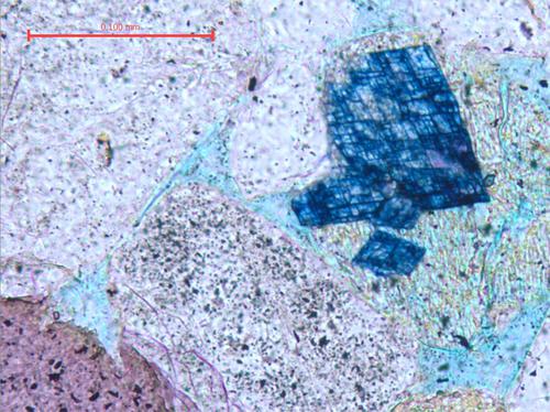 Chia sẻ hình ảnh từ LAS với đồng nghiệp với Leica LAS Web Share Module