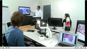 Chia sẻ video tương tác