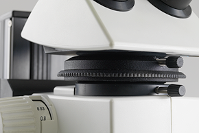 Ánh sáng khuếch tán