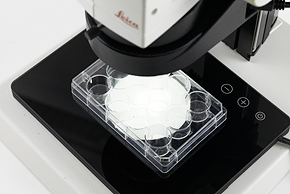 Bề mặt làm việc lớn