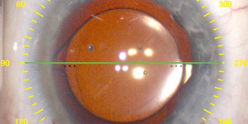 Your platform for the future