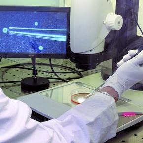 Không cần thị kính