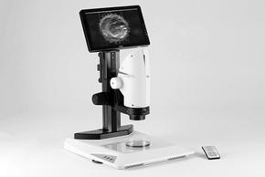 Hoạt động độc lập