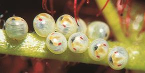 Chiếu sáng bằng LED