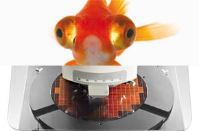 Quan sát được nhiều hơn gấp bốn lần