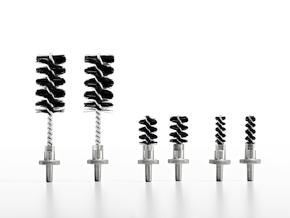 Các mẫu vật đa dạng