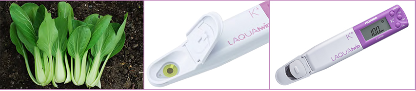 Đo hàm lượng kali trong mô thực vật