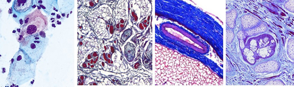 Phạm vi ứng dụng