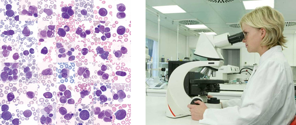 Giới thiệu chung