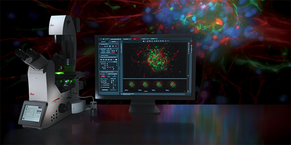 Úng dụng của kính hiển vi sinh học lĩnh vực trong y học Úng dụng của kính hiển vi sinh học lĩnh vực trong y học