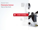 Tương phản phân cực (Polarization Contrast)