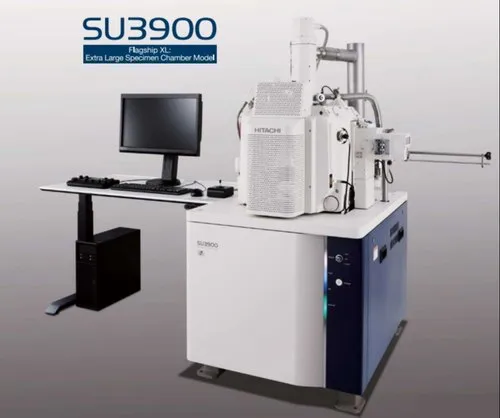 Quan sát hình thái học của mẫu sinh học sử dụng dung dịch ion