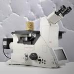 Kính hiển vi đảo ngược Leica DMi8 và Kính hiển vi điện tử số Leica DVM6