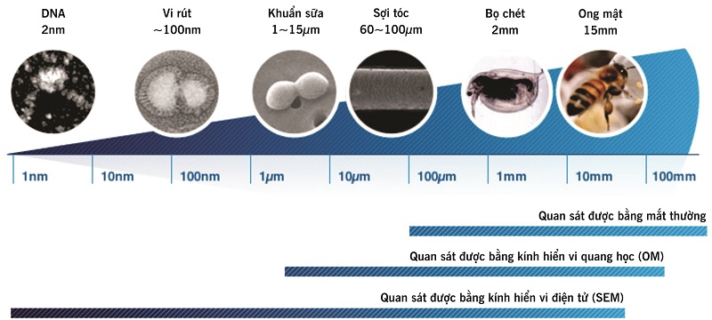 Giới thiều về SEM