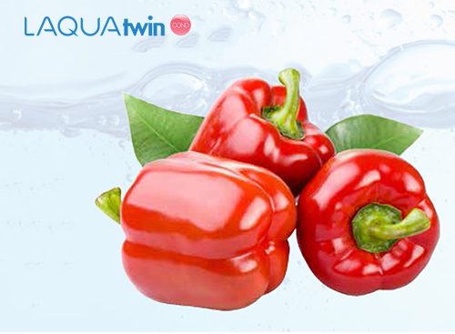 Đo độ dẫn và hiện tượng chân voi của cây ớt chuông