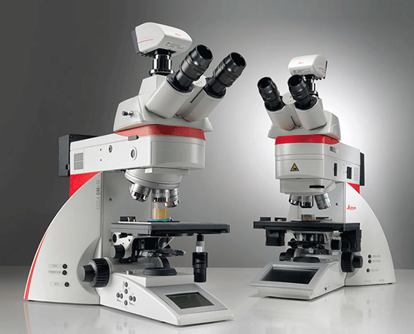 Kính hiên vi soi ngược