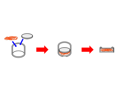 Chuẩn bị mẫu trong phép đo TG-DTA