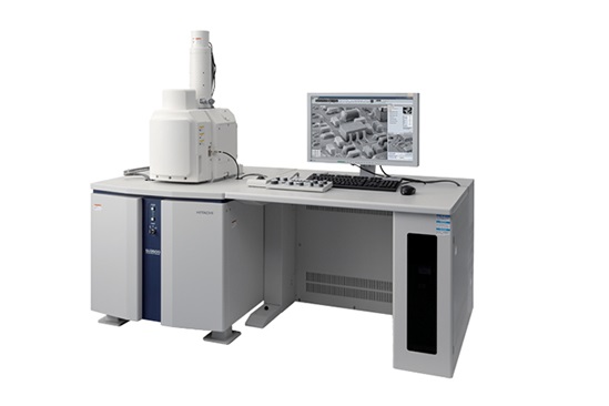 Hỗ trợ định danh nấm Alternaria bằng kính hiển vi điện tử quét 