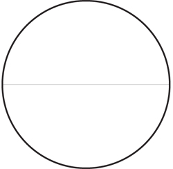 Trắc vi thị kính một vạch ngang NE50