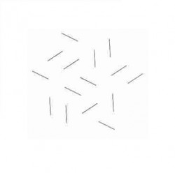 Trắc vi thị kính hiển vi soi nổi Weibel 1 NGW1