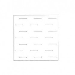 Trắc vi thị kính hiển vi soi nổi Weibel 2 NGW2 