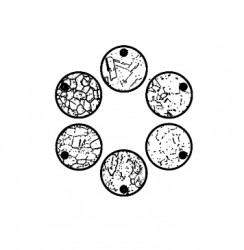 Trắc vi thị kính kích thước hạt Cacbua G43 - ASTM