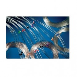 Ống nhu động PVC SCP Science màu cam, 1 vòng kẹp