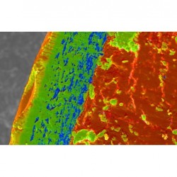 Đầu dò phổ tán xạ năng lượng tia X AZtecOne + Xplore 15 (SEM)