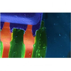 Đầu dò phổ tán xạ năng lượng tia X AZtecOne + Xplore 15 (SEM)