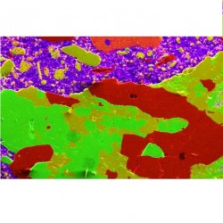 Đầu dò phổ tán xạ năng lượng tia X AZtecLiveLite + Xplore (SEM)