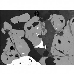 Máy dò tán xạ ngược (BSE) cho SEM Solid-State Gen5 