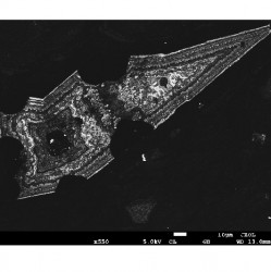 Máy dò nhấp nháy / ánh sáng huỳnh quang ca-tốt (CL) cho SEM và BSE Centaurus