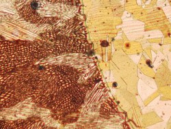 Kính hiển vi kỹ thuật số độ phóng đại cao Leica DVM2500