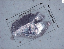 Dịch vụ phân tích độ nhiễu tạp