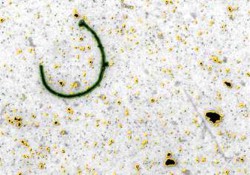 Dịch vụ phân tích độ nhiễu tạp