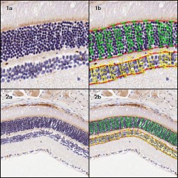 Dịch vụ phân tích bề dày lớp vật liệu 