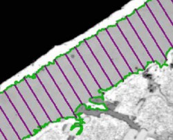 Dịch vụ phân tích bề dày lớp vật liệu 